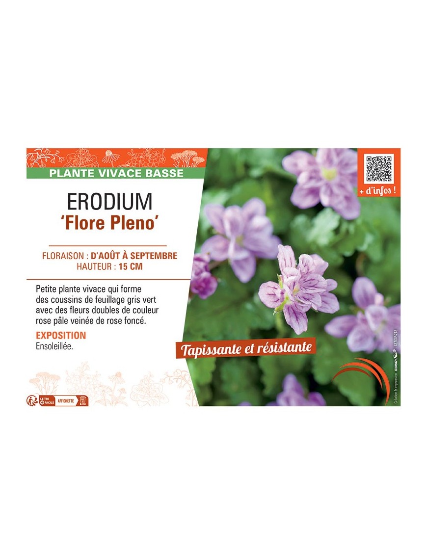ERODIUM FLORE PLENO