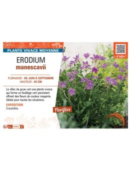 ERODIUM MANESCAVII