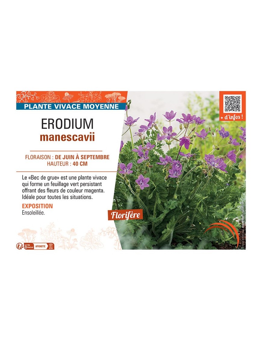ERODIUM MANESCAVII