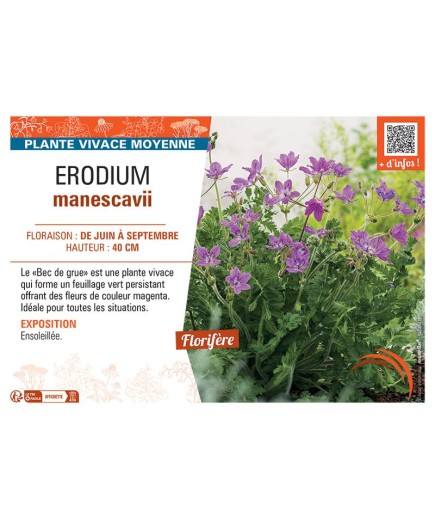 ERODIUM MANESCAVII