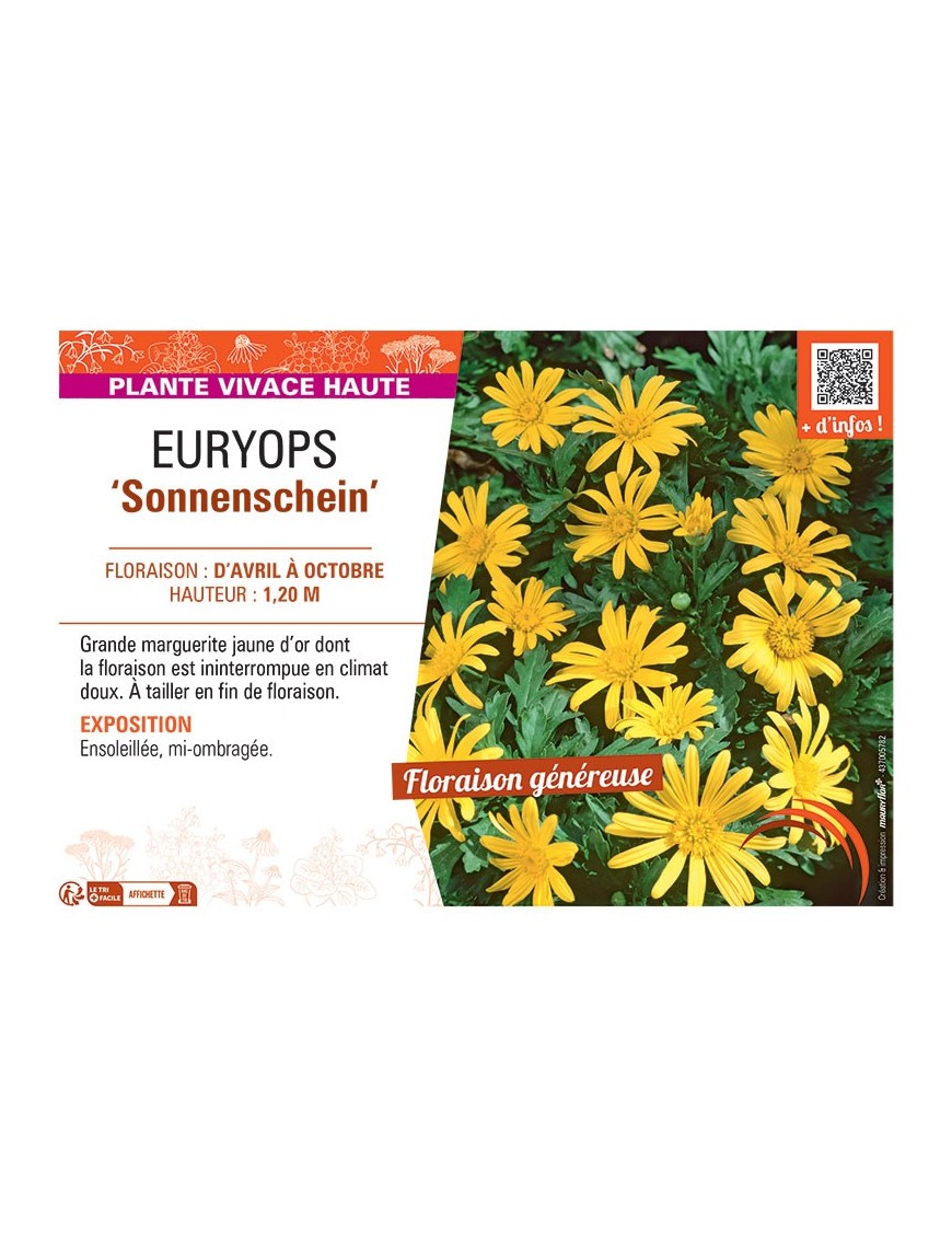 EURYOPS SONNENSCHEIN