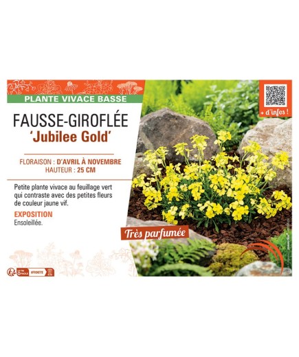 FAUSSE-GIROFLEE JUBILEE GOLD