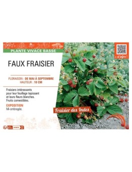 FAUX FRAISIER