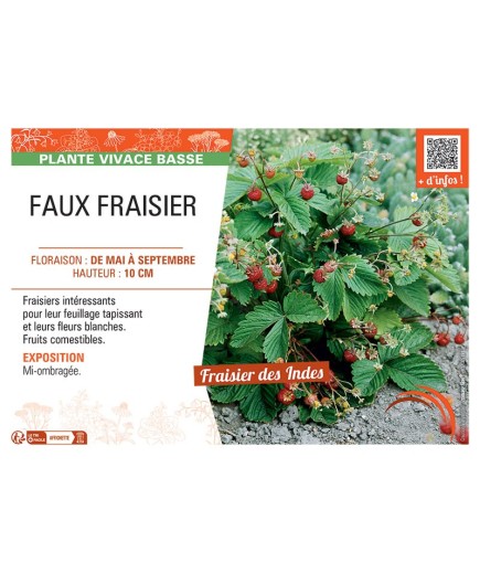 FAUX FRAISIER