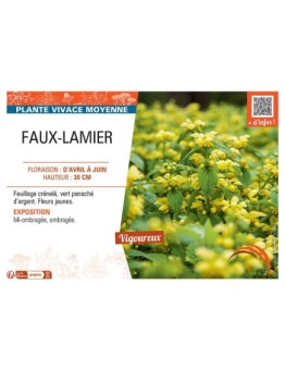 FAUX-LAMIER (jaune)