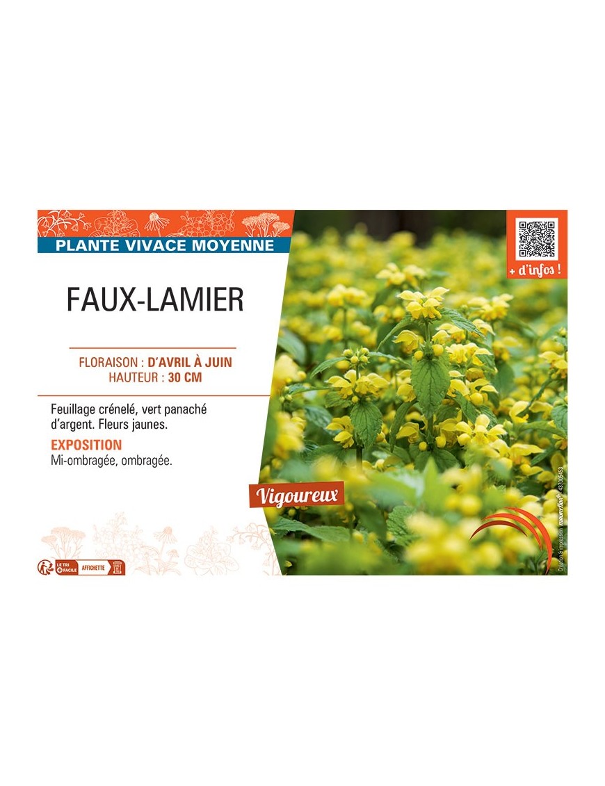 FAUX-LAMIER (jaune)