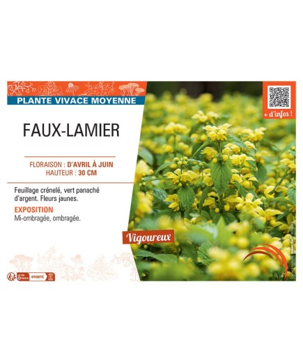 FAUX-LAMIER (jaune)