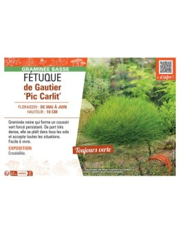 FETUQUE DE GAUTIER PIC GARLIT