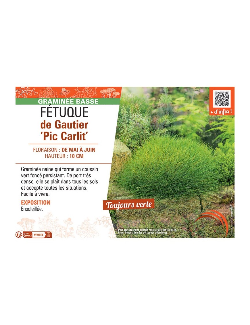 FETUQUE DE GAUTIER PIC GARLIT
