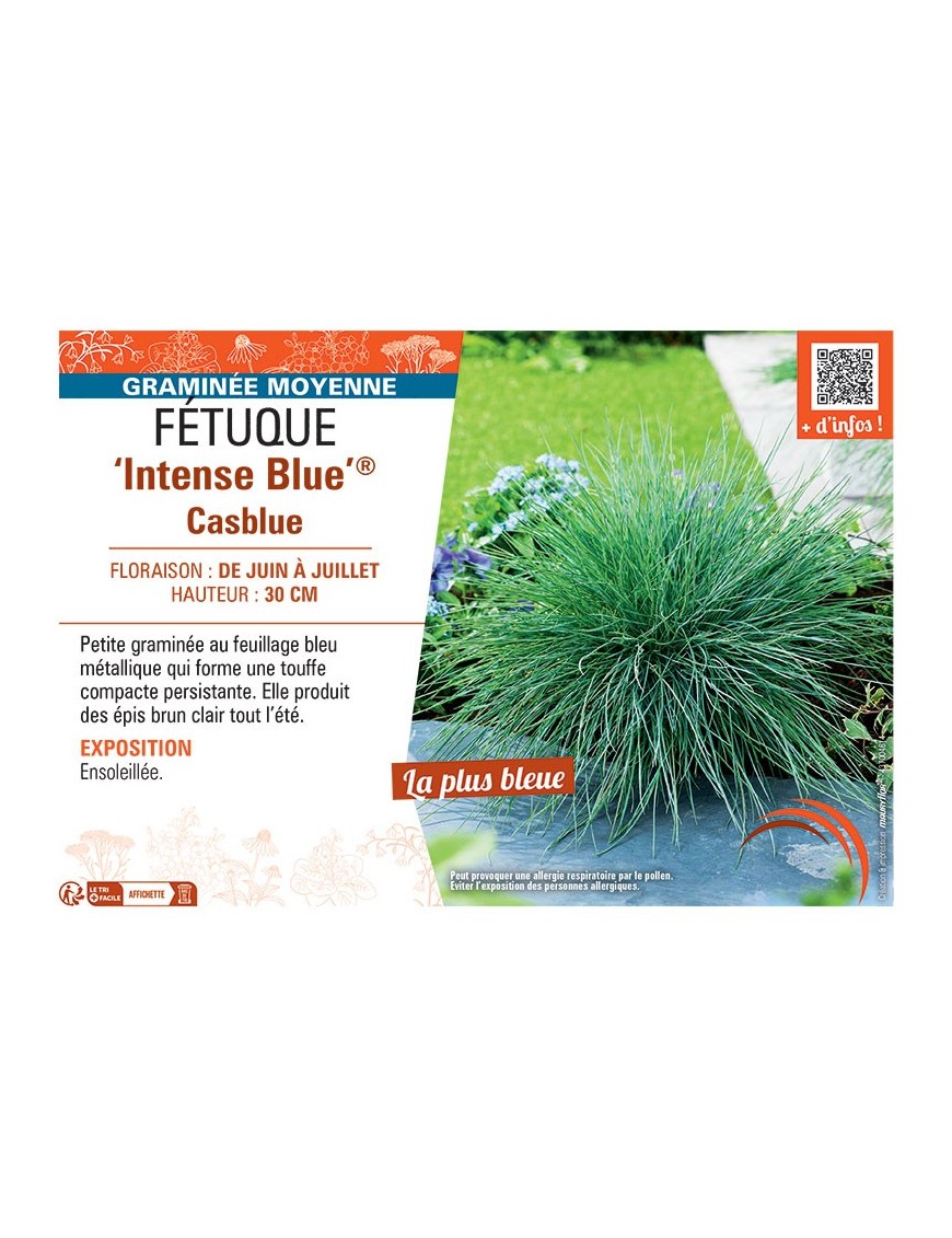 FETUQUE INTENSE BLUE® CASBLUE