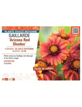 GAILLARDE ARIZONA RED SHADES