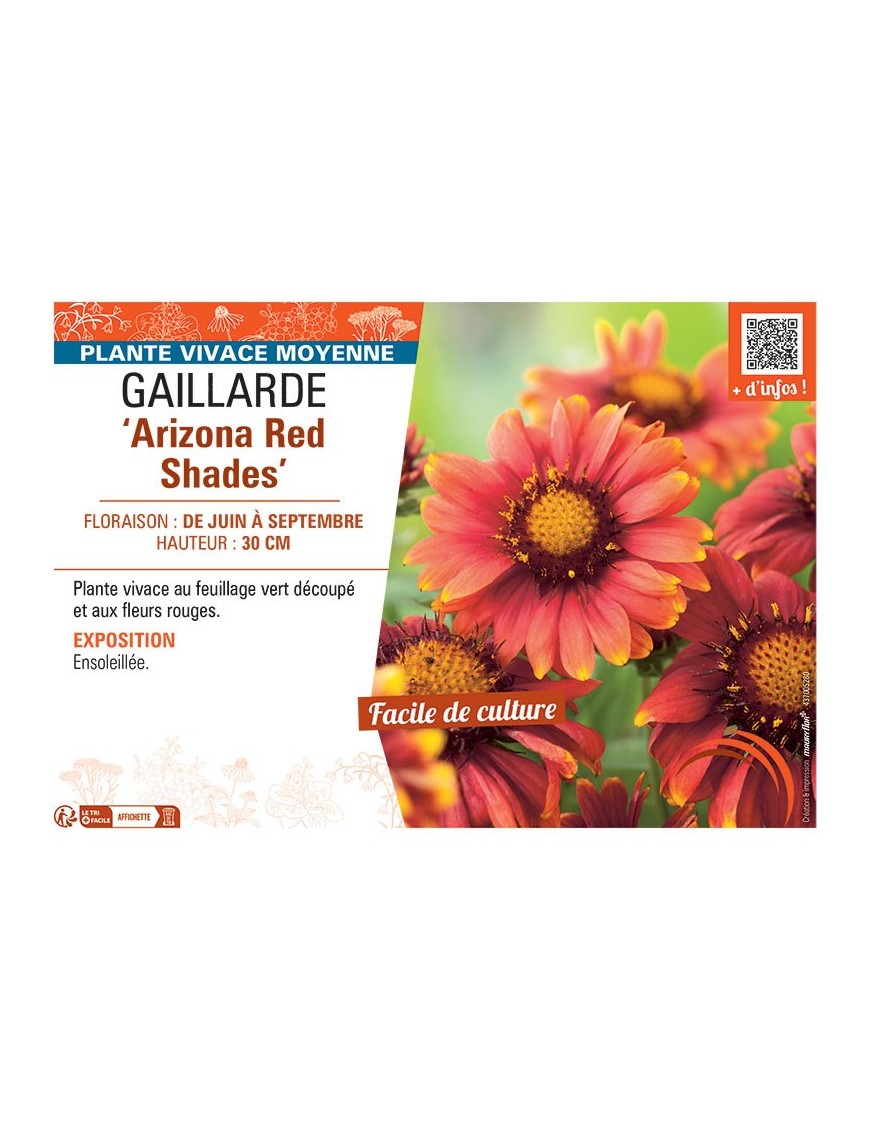 GAILLARDE ARIZONA RED SHADES