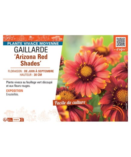 GAILLARDE ARIZONA RED SHADES