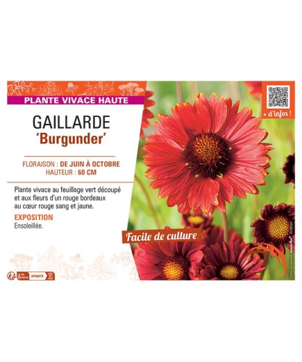 GAILLARDE BURGUNDER