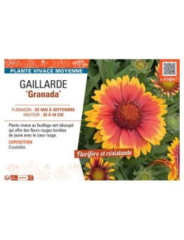 GAILLARDE GRANADA