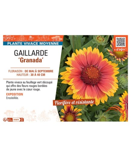 GAILLARDE GRANADA