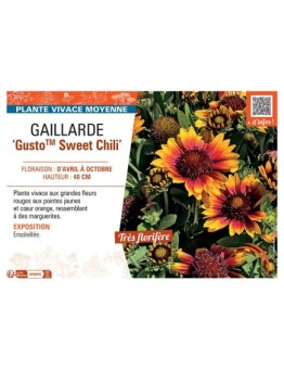 GAILLARDE GUSTO™ SWEET CHILI
