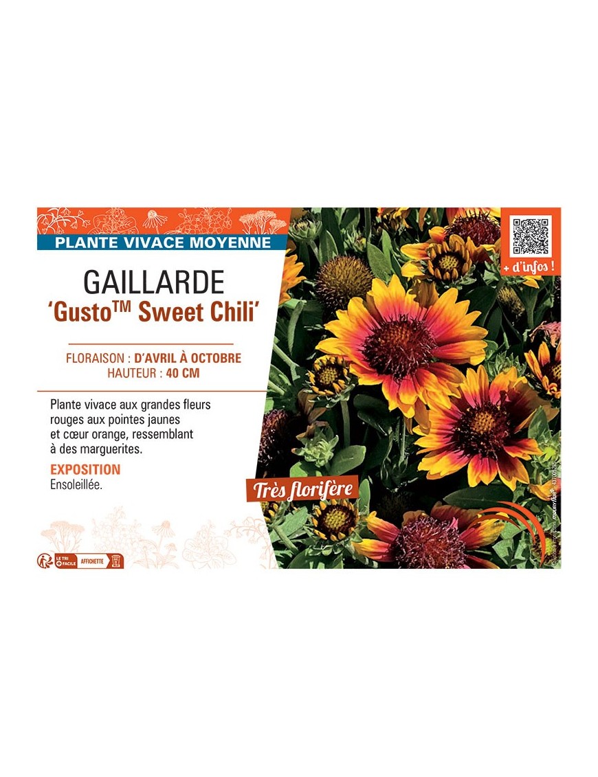 GAILLARDE GUSTO™ SWEET CHILI