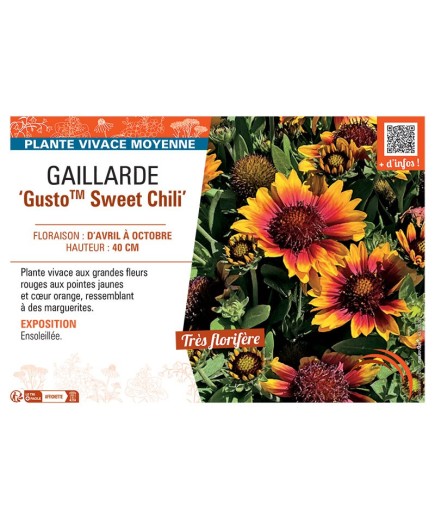 GAILLARDE GUSTO™ SWEET CHILI