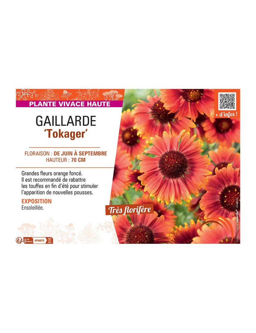 GAILLARDE TOKAGER