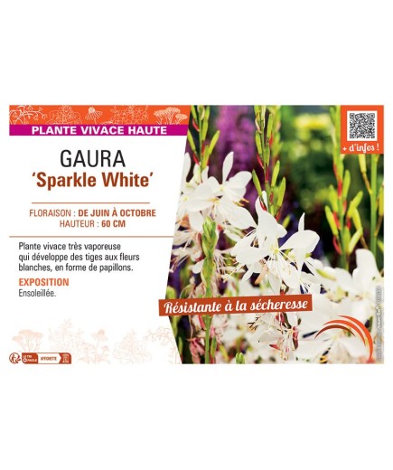 GAURA SPARKLE WHITE