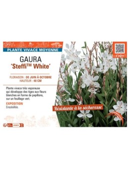 GAURA STEFFI™ WHITE