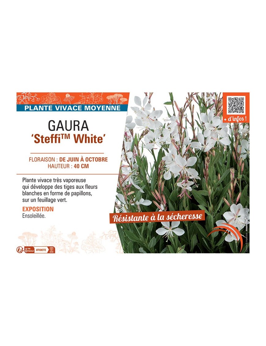GAURA STEFFI™ WHITE