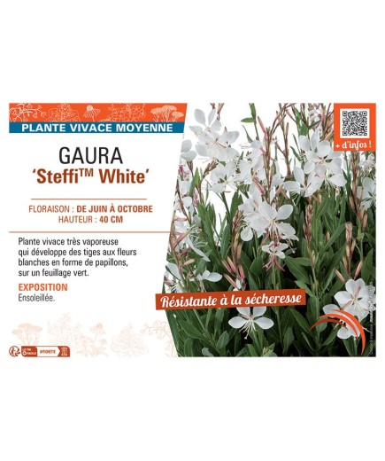 GAURA STEFFI™ WHITE