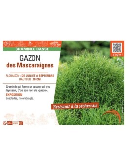 GAZON DES MASCARAIGNES