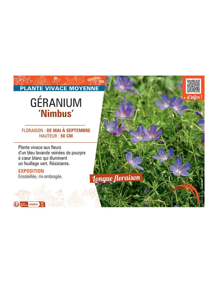 GERANIUM NIMBUS
