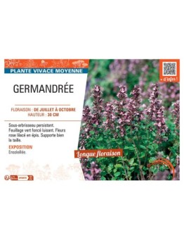 GERMANDREE