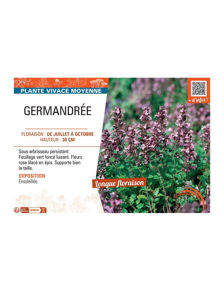 GERMANDREE