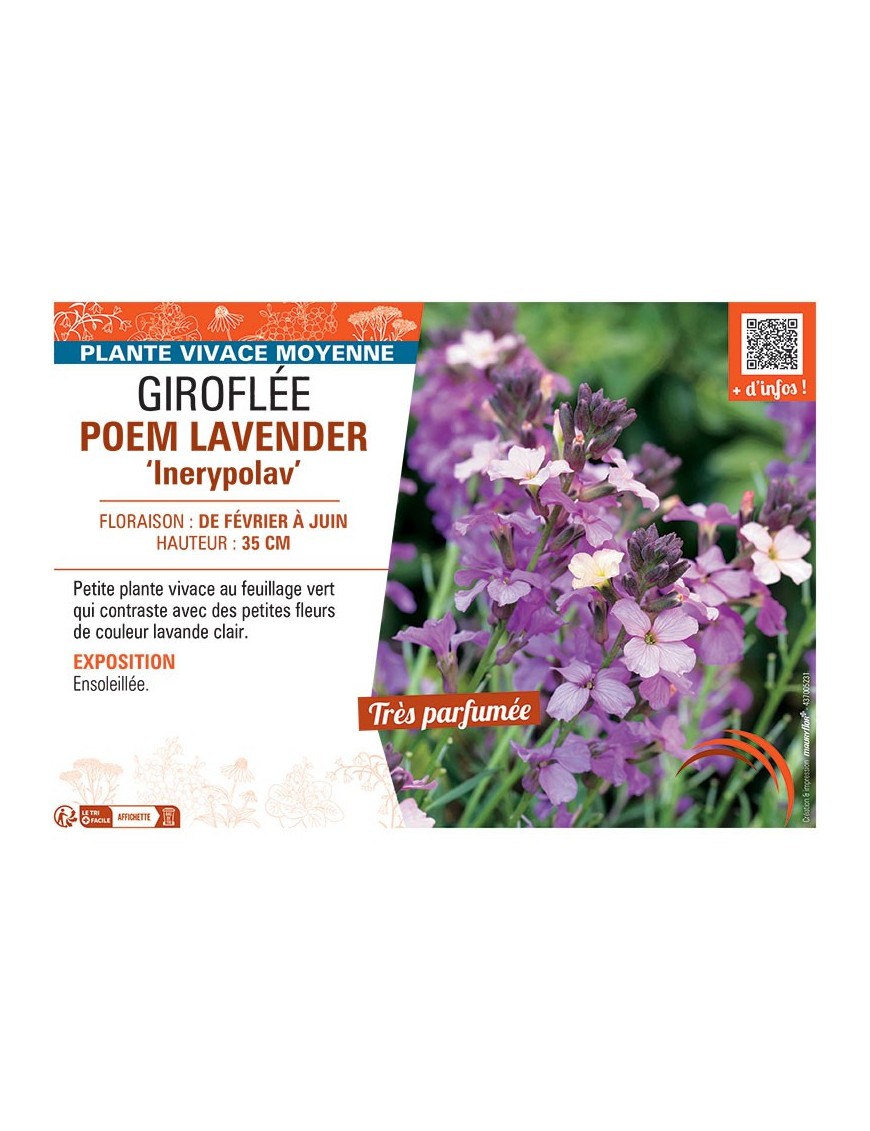 GIROFLEE POEM LAVENDER Inerypolav