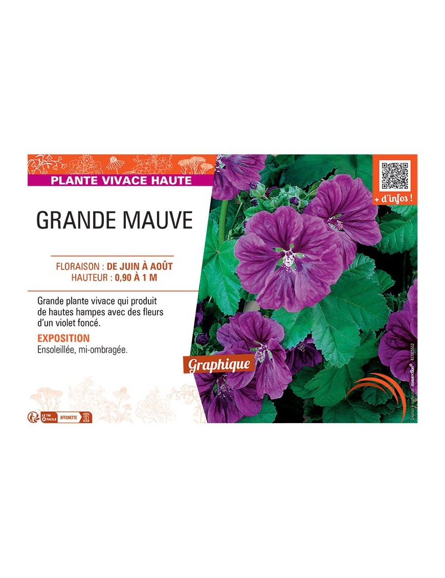 GRANDE MAUVE