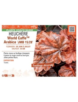 HEUCHERE WORLD CAFFE™ ARABICA jmb 15/28