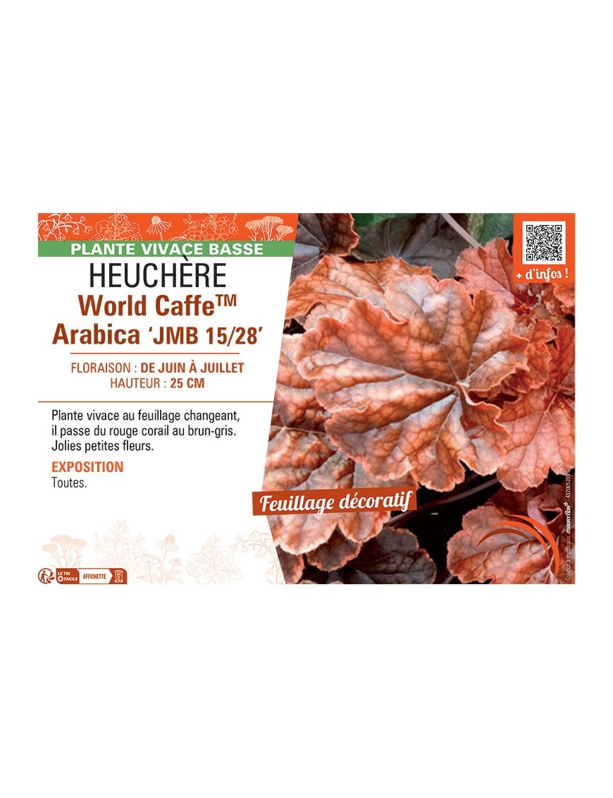 HEUCHERE WORLD CAFFE™ ARABICA jmb 15/28