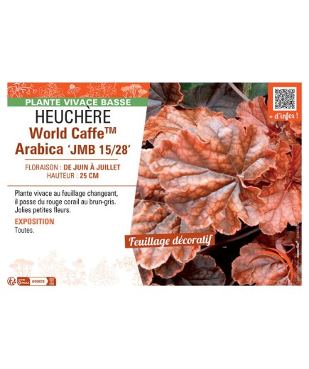 HEUCHERE WORLD CAFFE™ ARABICA jmb 15/28