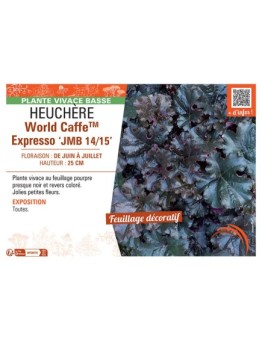 HEUCHERE WORLD CAFFE™ EXPRESSO jmb 14/15