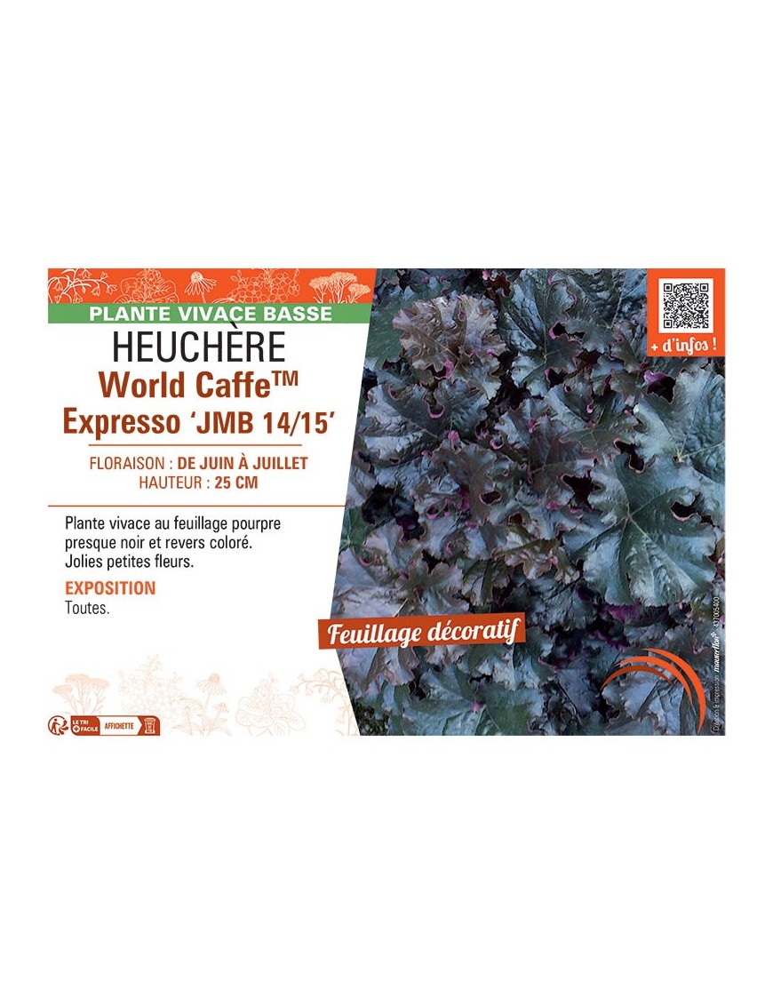 HEUCHERE WORLD CAFFE™ EXPRESSO jmb 14/15
