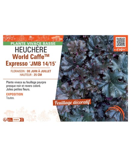 HEUCHERE WORLD CAFFE™ EXPRESSO jmb 14/15