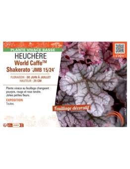 HEUCHERE WORLD CAFFE™ SHAKERATO jmb 15/24