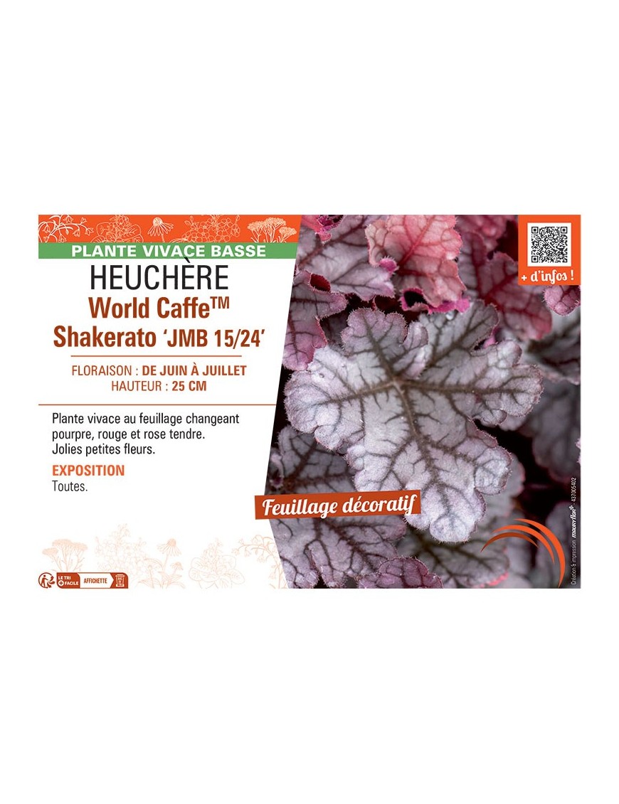 HEUCHERE WORLD CAFFE™ SHAKERATO jmb 15/24