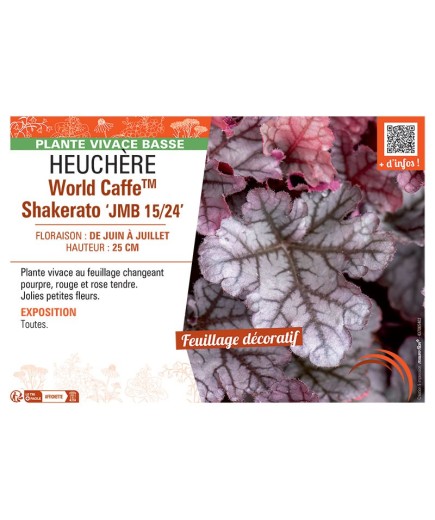 HEUCHERE WORLD CAFFE™ SHAKERATO jmb 15/24