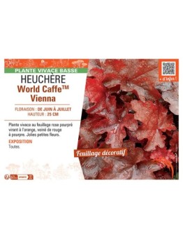 HEUCHERE WORLD CAFFE™ VIENNA