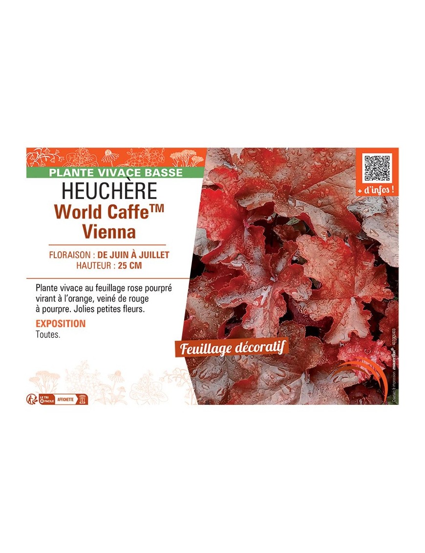 HEUCHERE WORLD CAFFE™ VIENNA