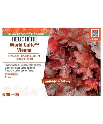 HEUCHERE WORLD CAFFE™ VIENNA
