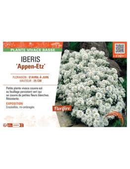 IBERIS APPEN-ETZ