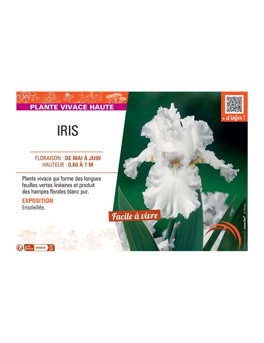 IRIS (blanc)