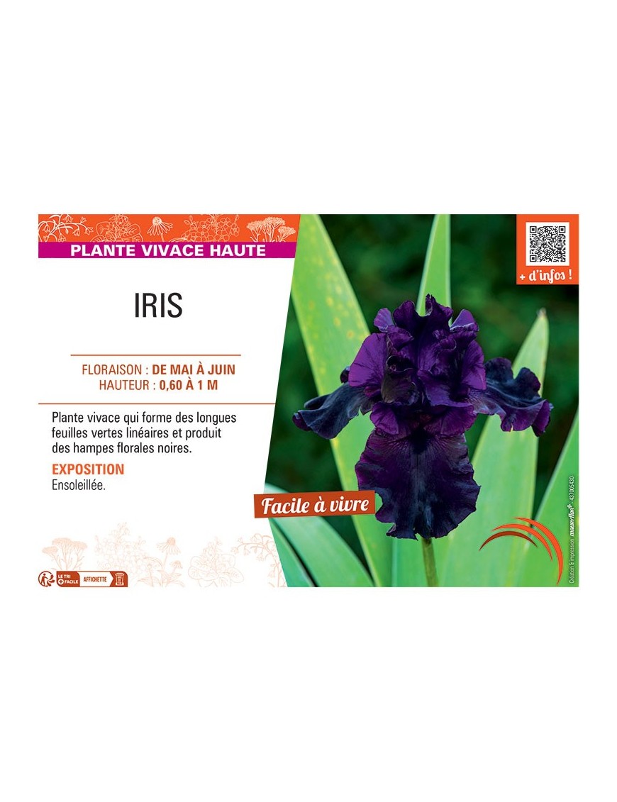 IRIS (noir)