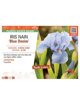IRIS NAIN BLUE DENIM